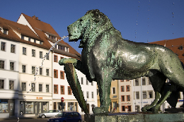 Halteverbot Freiberg, Obermarkt