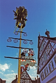 Maibaumaufstellung Renningen